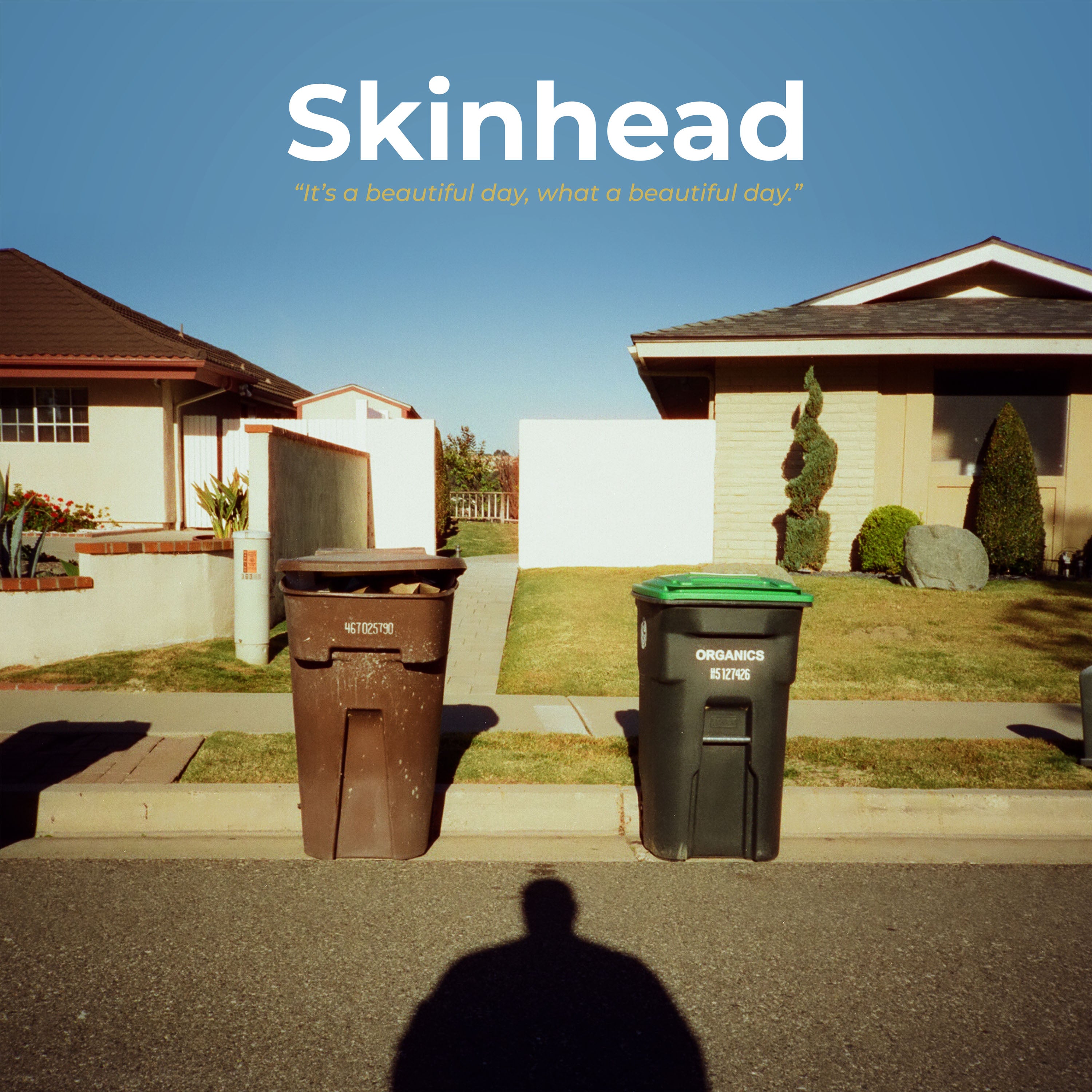 Skinhead - It's a Beautiful Day, What a Beautiful Day
