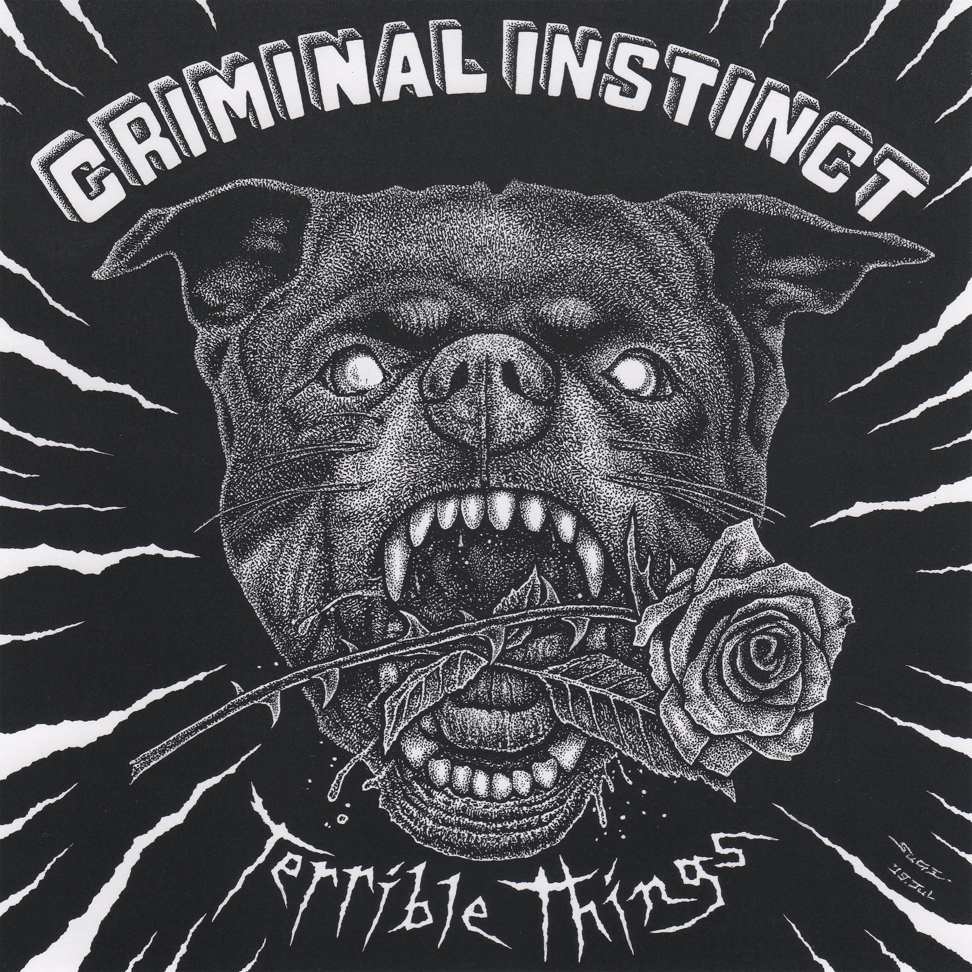 Criminal Instinct - Terrible Things