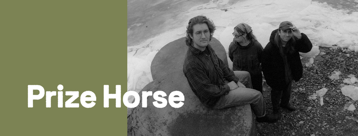 Prize Horse