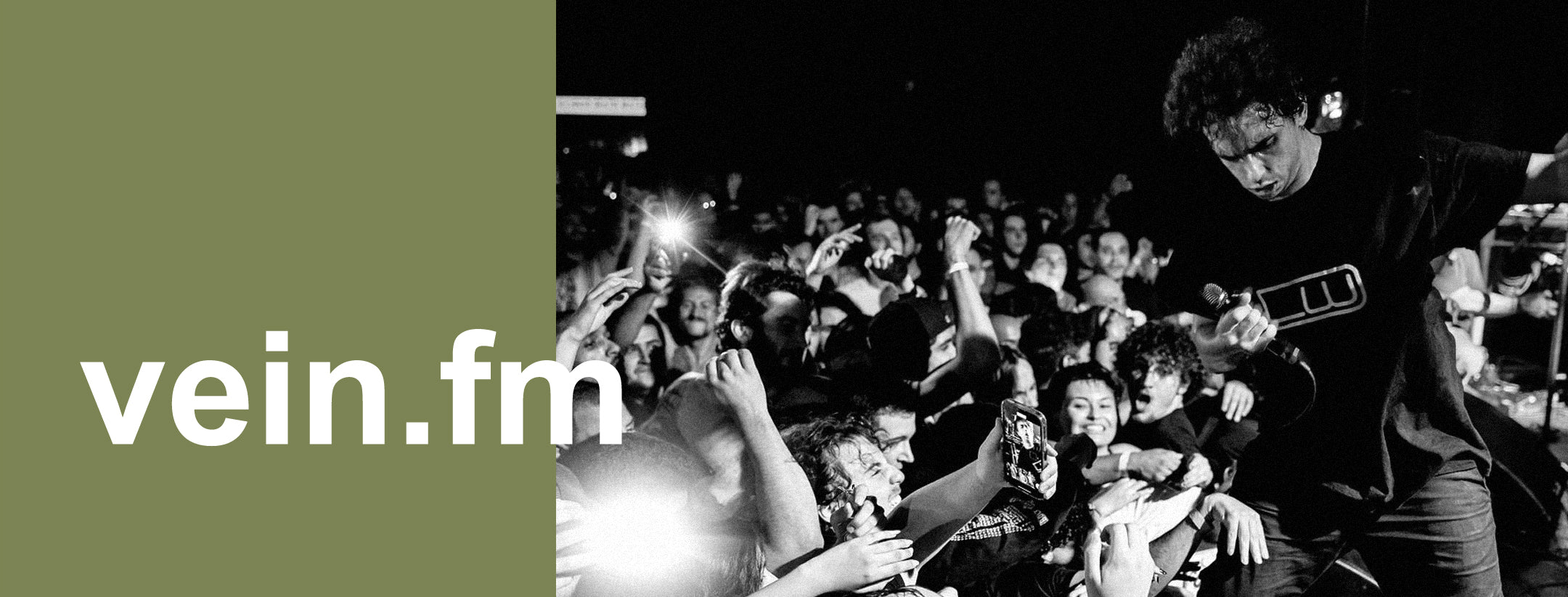 Vein.fm