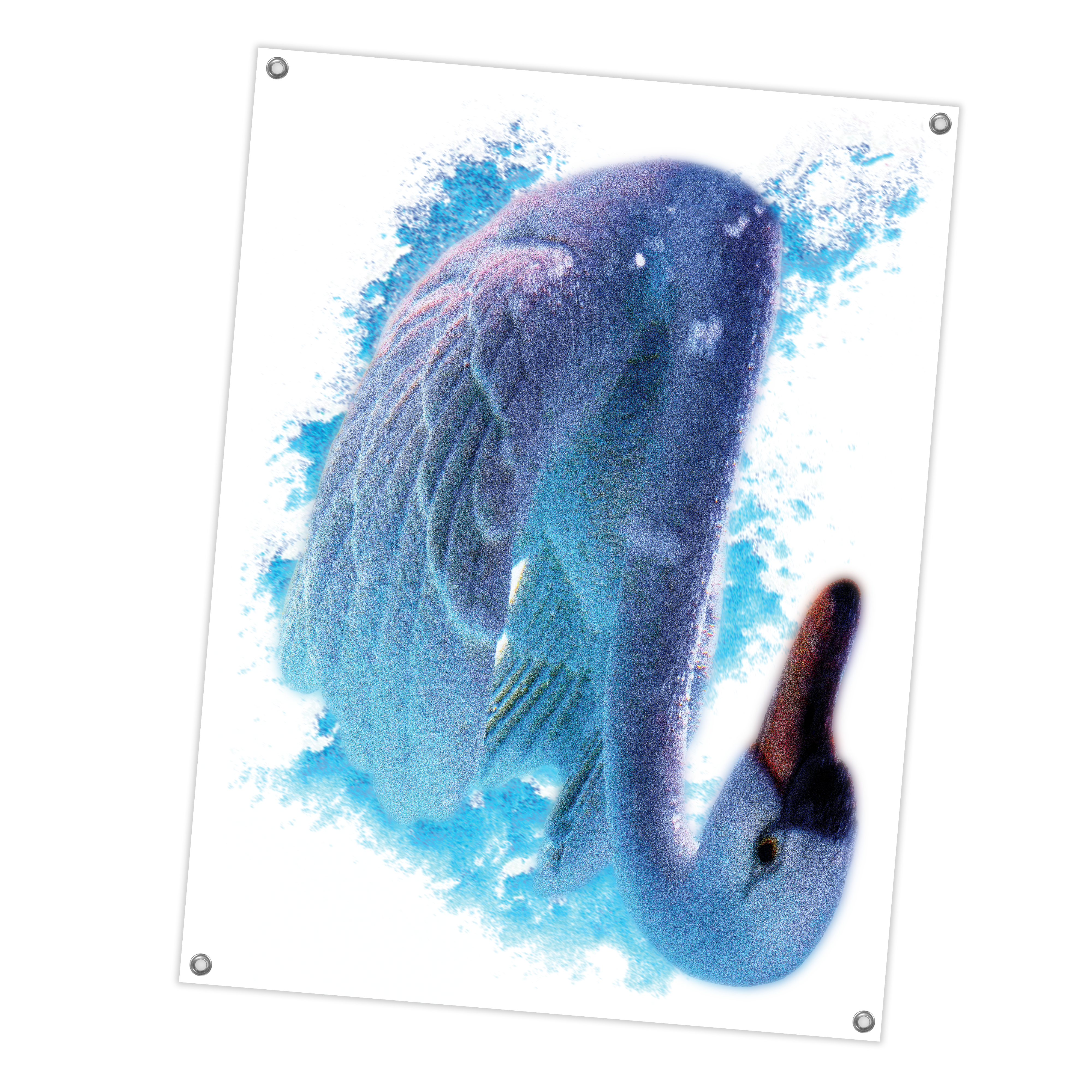 Fleshwater - Swan Flag **PREORDER**