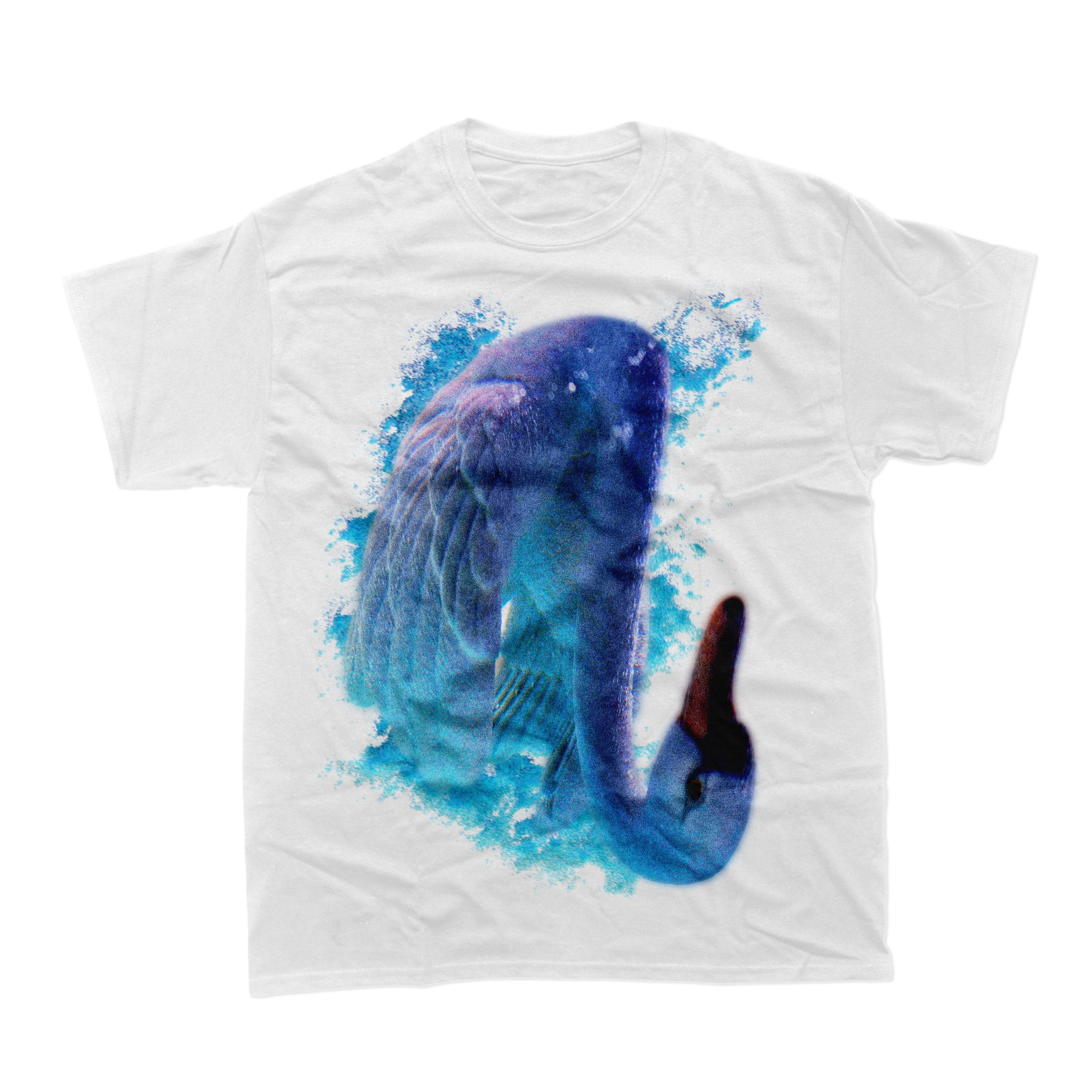 Fleshwater - Swan T-Shirt