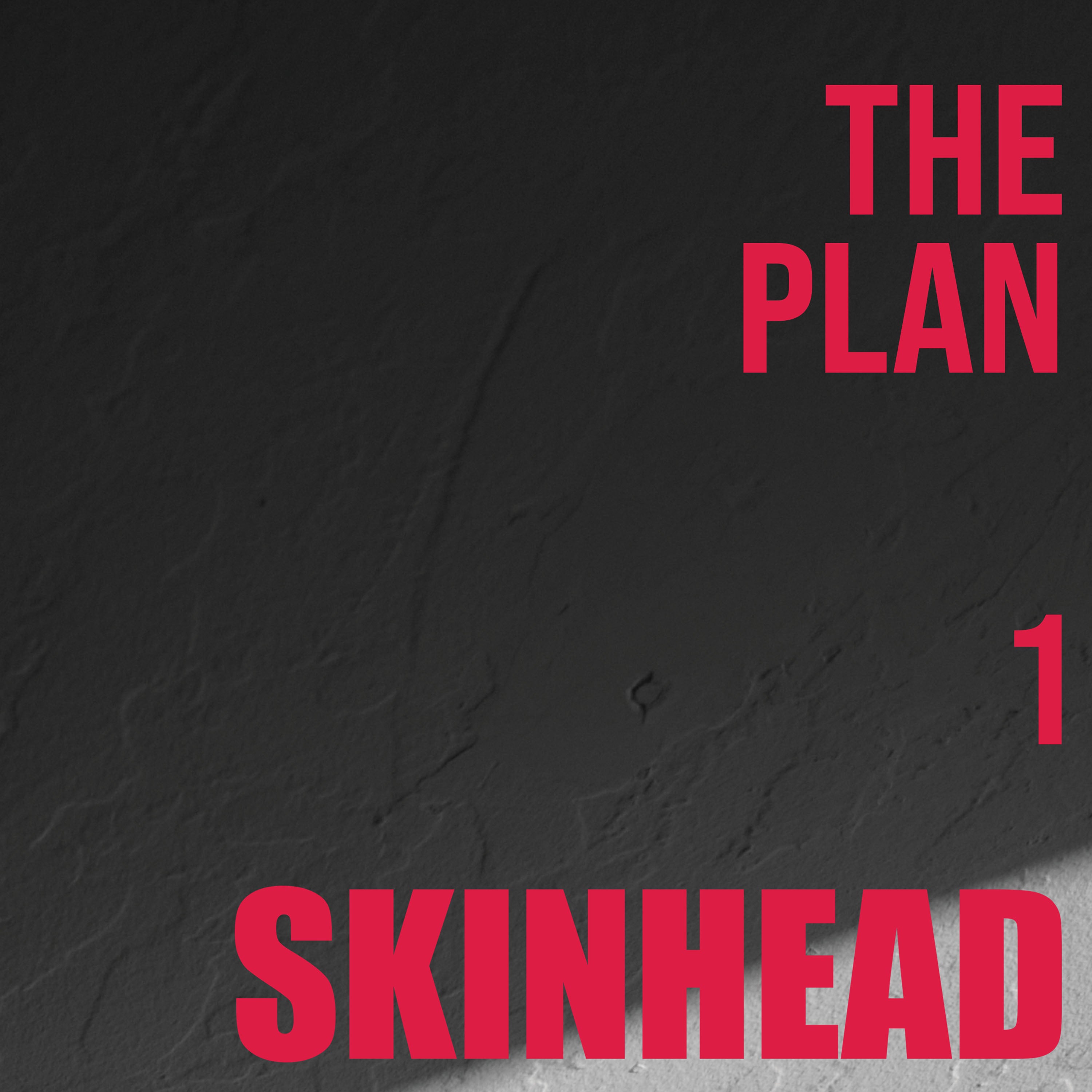 SKINHEAD_THEPLANONE_CCA158_1_O