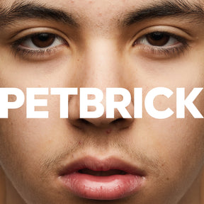 Petbrick - I