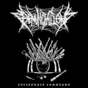 Denunciation - California Commando