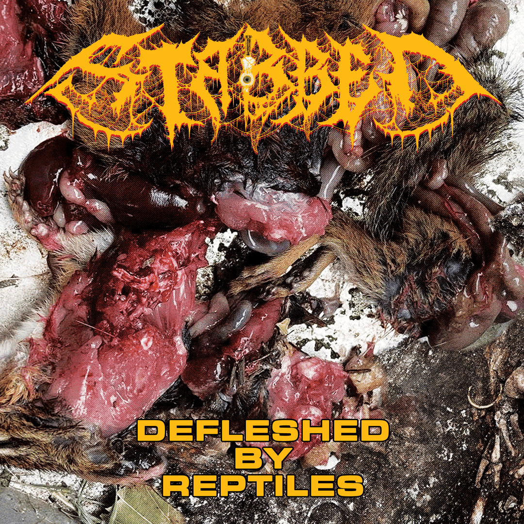 Stabbed - Defleshed By Reptiles