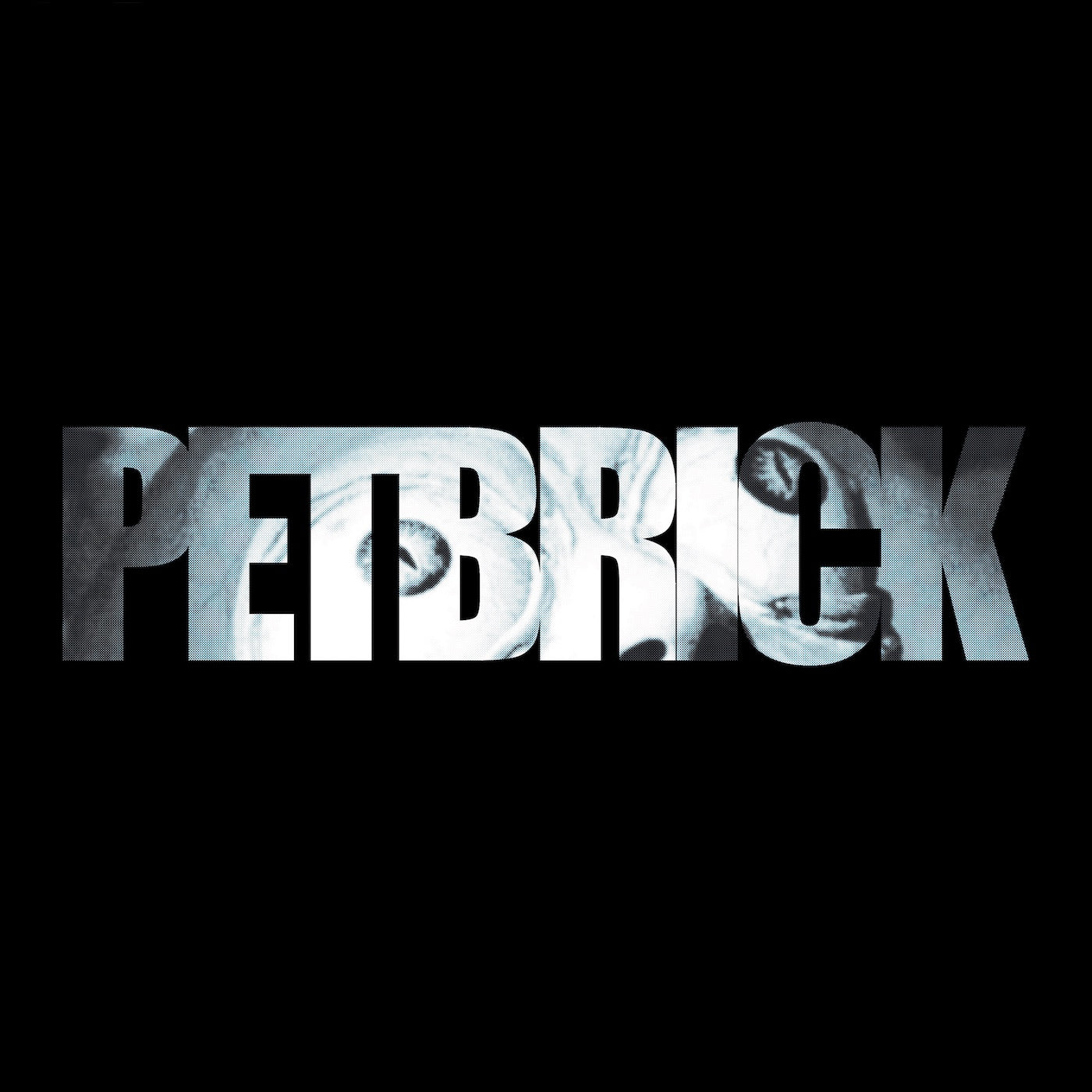 Petbrick - Petbrick 12"EP